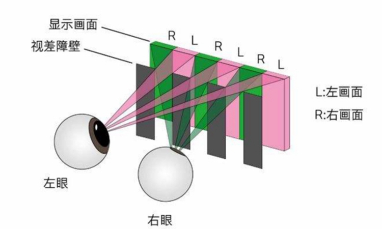 CorelSDK_0060.jpg